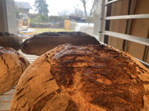 Photo accueil 3 Le fournil de Fréterive